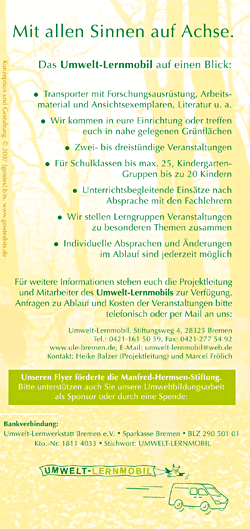 Flyer/Text